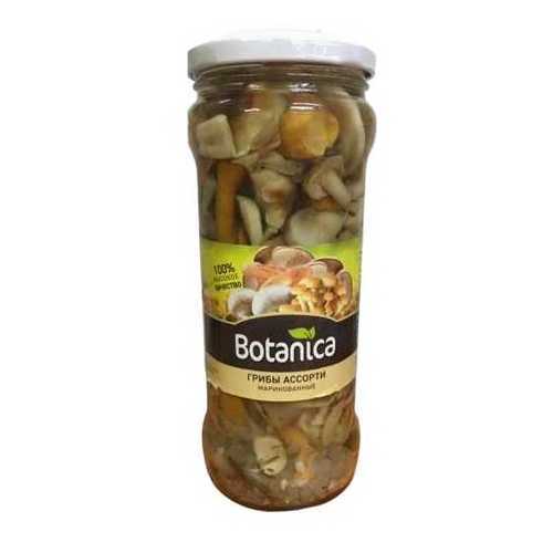 Грибы ассорти Botanica маринованные в ЭССЕН