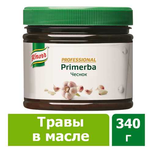 Приправа в растительном масле Knorr Primerba чеснок 340 г в ЭССЕН