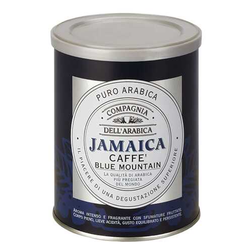 Кофе Compagnia Dell'Arabica Jamaica Blue Mountain молотый 250 г в ЭССЕН